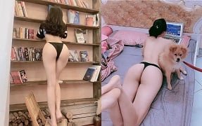 Nguyen quynh e fodiu o país inteiro
